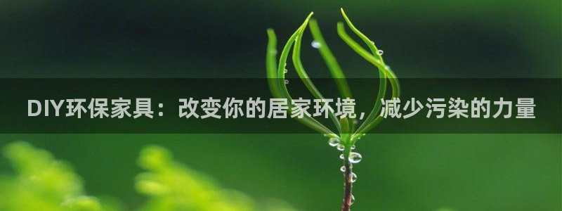 沐鸣2官网主管