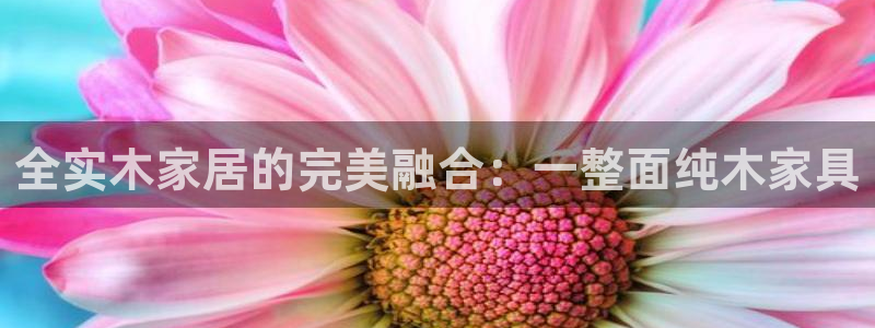 沐鸣23注册：全实木家居的完美融合：一整面纯木家具