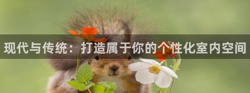 沐鸣2官网登录：现代与传统：打造属于你的个性化室内空间