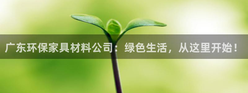 沐鸣2代理1980：广东环保家具材料公司：绿色生活，从这里开