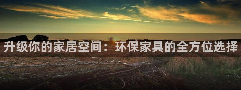 沐鸣2官网主管